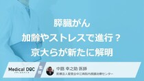 膵臓がんは「加齢」や「ストレス」で進行？ 炎症を引き起こす『タンパク質』を京大らが解明