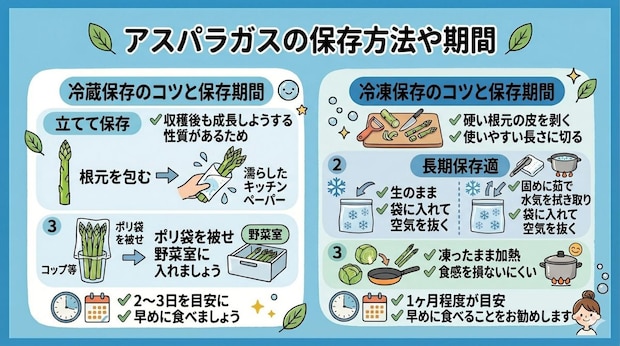 アスパラガスの保存方法や期間
