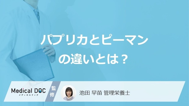 「パプリカ」と「ピーマン」の”4つの違い”はご存じですか？ 管理栄養士が解説！