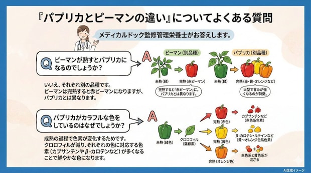 「パプリカとピーマンの違い」についてよくある質問