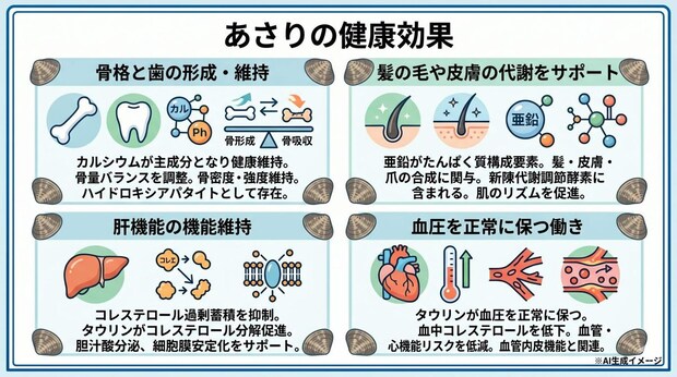 あさりの健康効果