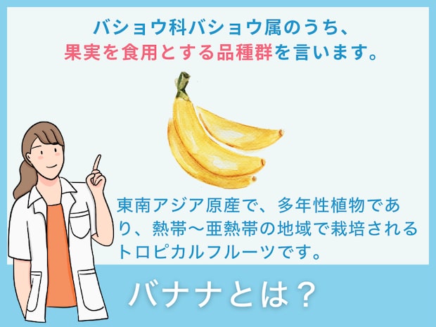 バナナとは？
