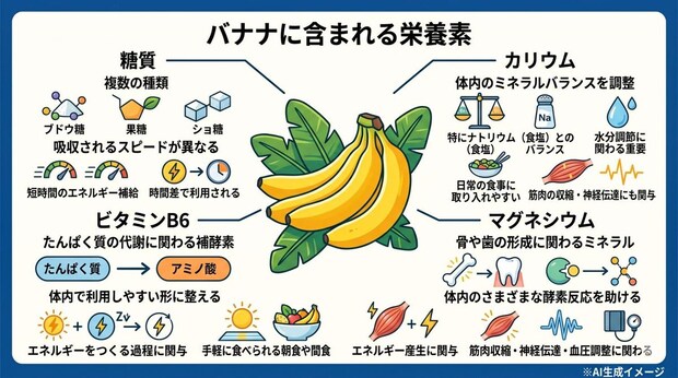 バナナに含まれる栄養素