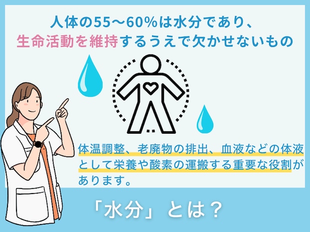 「水分」とは？