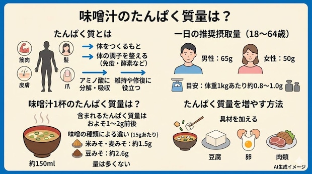 味噌汁のたんぱく質量は？