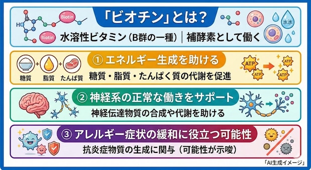 「ビオチン」とは？