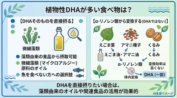 植物性DHAが多い食べ物はある？