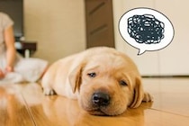 うつ病はもはや身近な病気です！うつ病の原因や治療について