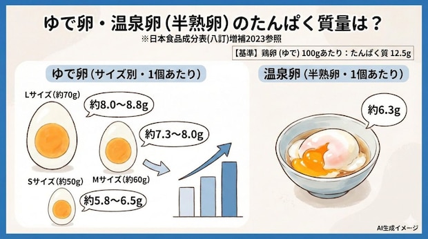 ゆで卵のたんぱく質量