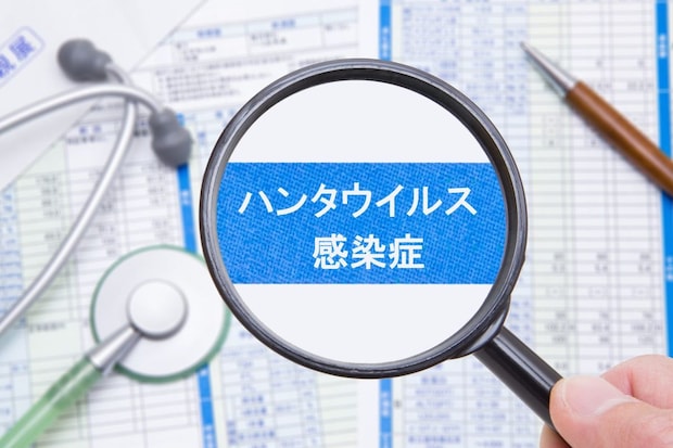 ハンタウイルス感染症とはそもそも何か？ クルーズ船で集団感染が起こった理由