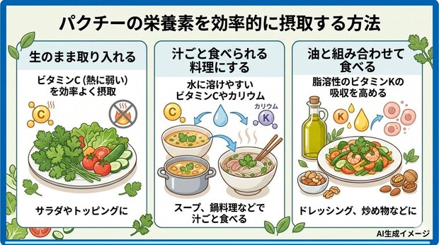 パクチーの栄養素を効率的に摂取する方法