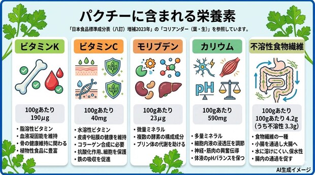 パクチーに含まれる栄養素