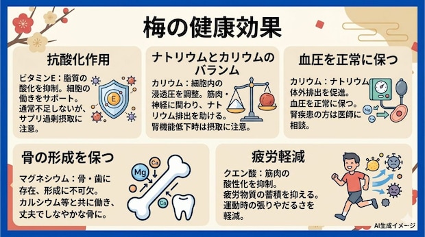 梅の健康効果