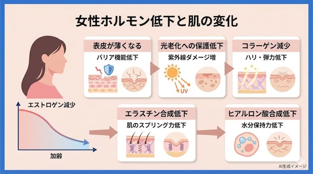 女性ホルモンのバランスが崩れると肌トラブルを引き起こす原因