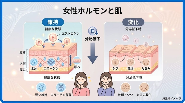 女性ホルモンと肌の関係性とは？