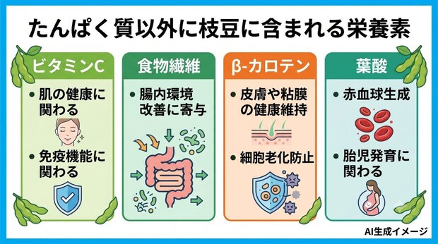 たんぱく質以外に枝豆に含まれる栄養素