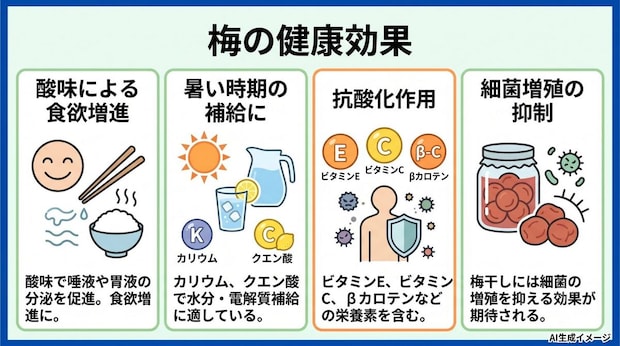 梅の健康効果