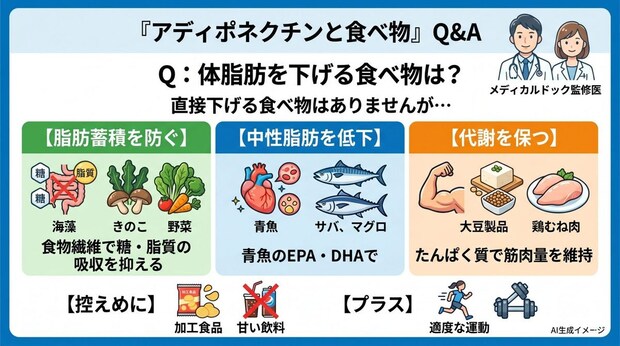 「アディポネクチンと食べ物」についてよくある質問