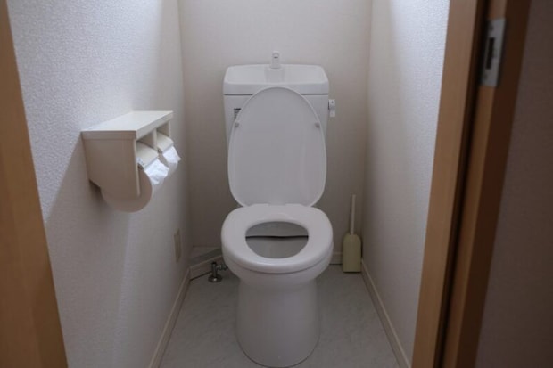 トイレ全体