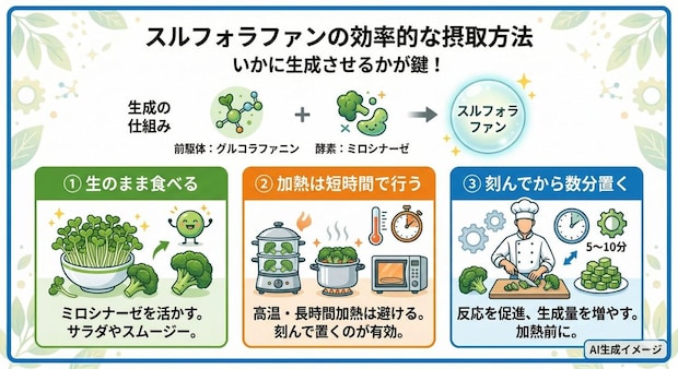スルフォラファンの効率的な摂取方法
