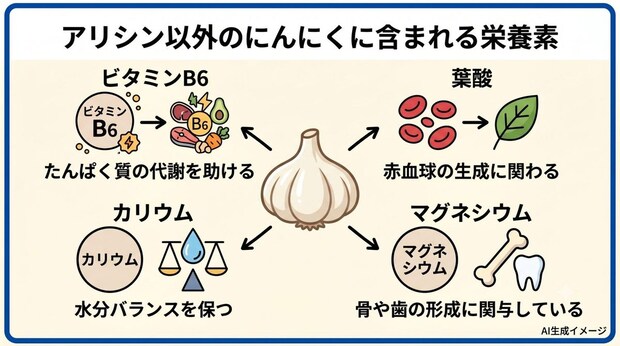 アリシン以外のにんにくに含まれる栄養素