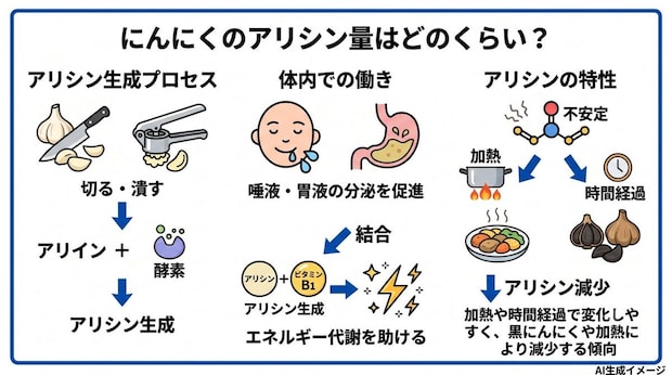 にんにくのアリシン量はどのくらい？