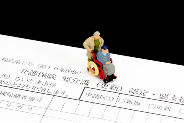 認認介護に活用できる介護サービスと制度