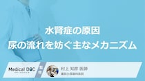「水腎症」を引き起こす原因とは？ “3つの主な原因”とそれぞれの特徴