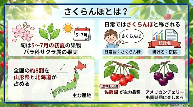 さくらんぼとは?