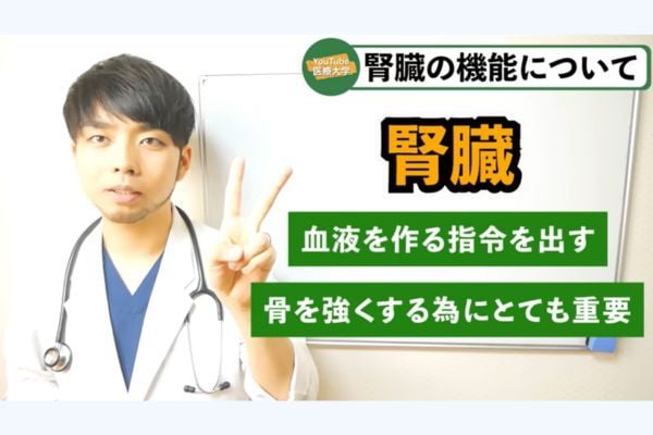 腎臓は「尿を作る」だけじゃない。知られざる“3つの働き”