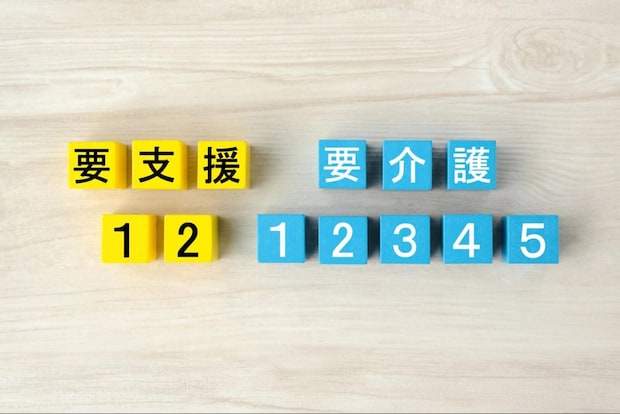 区分支給限度額とは