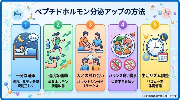 ペプチドホルモンの分泌を増やす方法