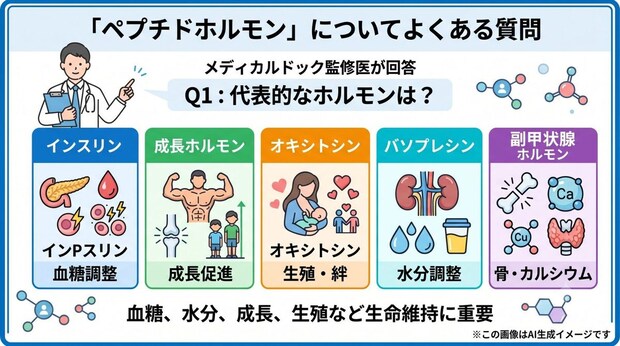 「ペプチドホルモン」についてよくある質問