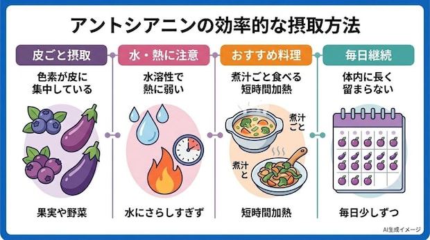 アントシアニンの効率的な摂取方法