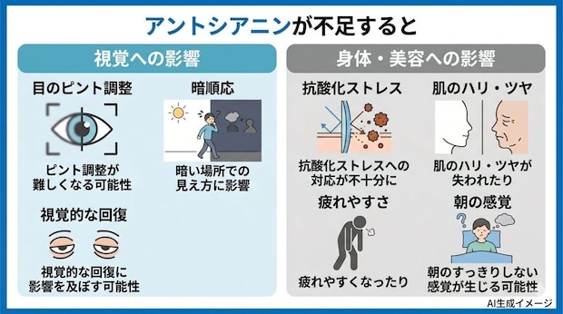 アントシアニンが不足すると
