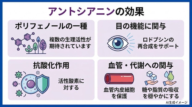 アントシアニンの効果