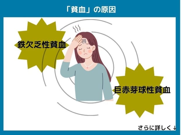貧血の原因