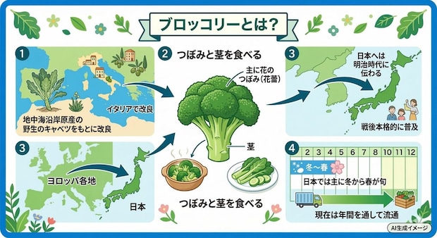 ブロッコリーとは?