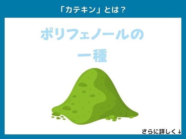 「カテキン」とは?