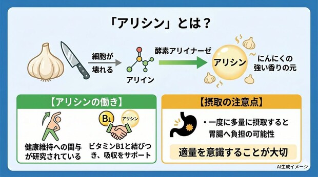 「アリシン」とは？