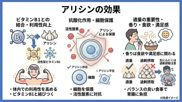 アリシンの効果