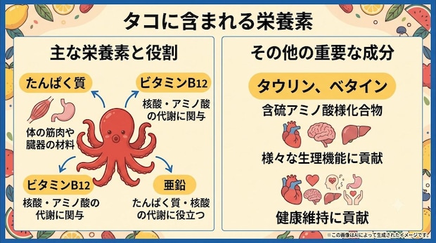 タコに含まれる栄養素
