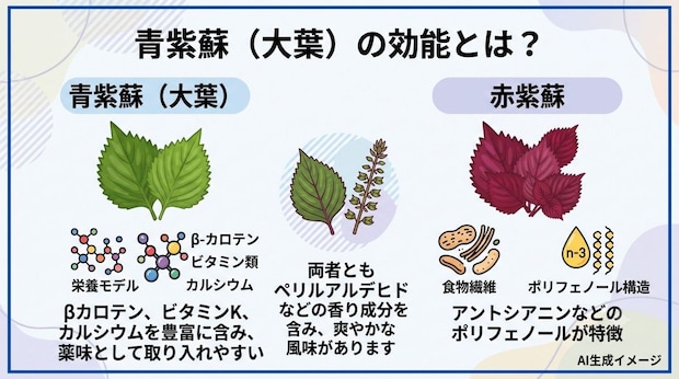 青紫蘇(大葉)の効能とは?