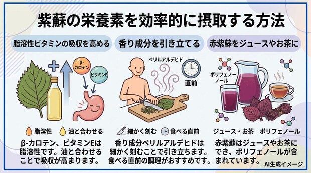 紫蘇の栄養素を効率的に摂取する方法