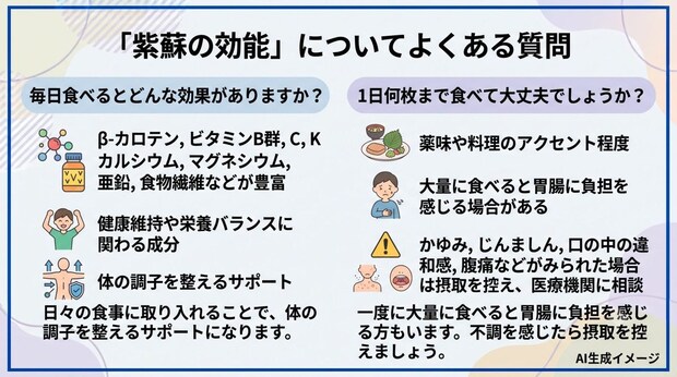 「紫蘇の効能」についてよくある質問