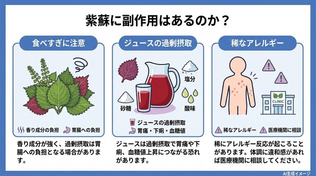 紫蘇に副作用はあるのか?