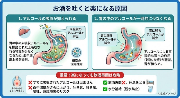 お酒を吐くと楽になる原因