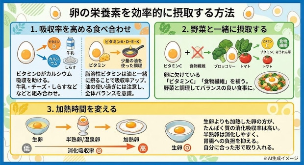 卵の栄養素を効率的に摂取する方法
