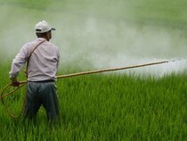 「パーキンソン病」リスクは“農薬の曝露”で増加か 発症しやすい人の特徴を医師が解説