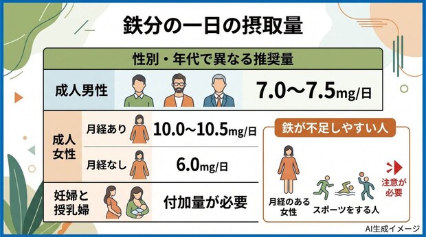 鉄分の一日の摂取量